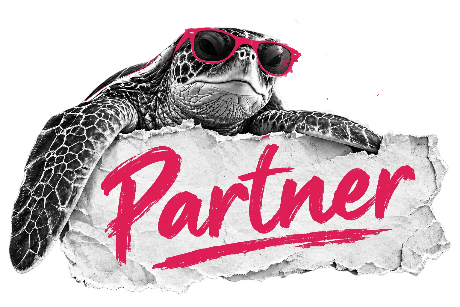 The conni turtle in pink sunglasses holding a torn paper sign reading “Partner”.